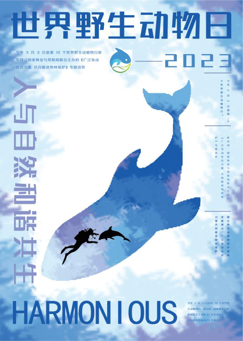 图片11.png 图片11.png