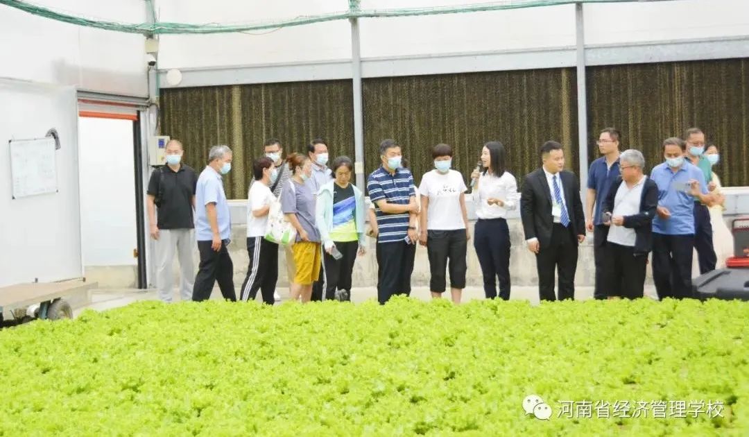 9 参观无土栽培蔬菜.jpg 9 参观无土栽培蔬菜.jpg