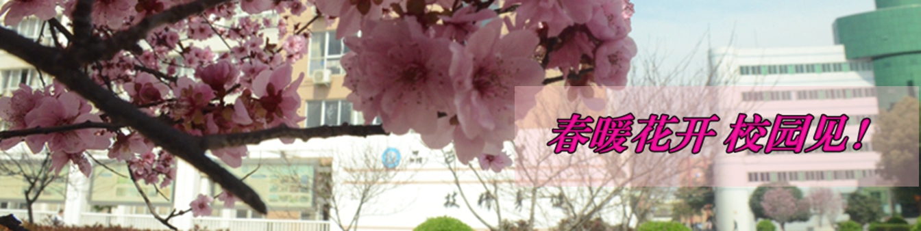 微信图片_201906051919377221.jpg 微信图片_201906051919377221.jpg